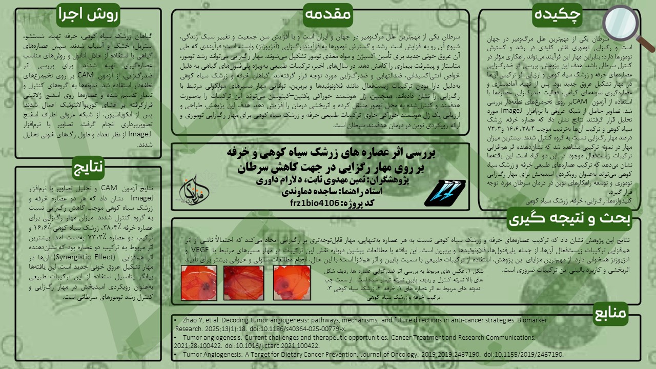 پوستر پروژه